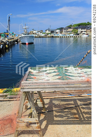 佐渡島漁港，姬路港，魷魚曬乾 69242288