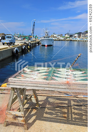 Sadogashima fishing port, Himezu port and squid sun dried 69242289