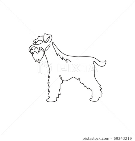 Single one line drawing of adorable miniature schnauzer for company logo identity 69243219