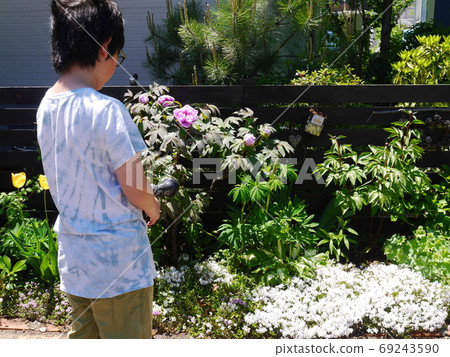 一個小孩子看著春天的花園裡盛開著各種植物（後視圖） 69243590