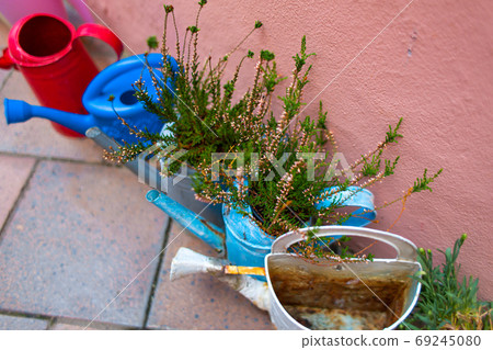 Set of old multi-colored metal watering cans for garden care 69245080