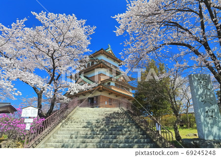 [長野縣]高島城和盛開的櫻花在晴朗的天氣下 69245248
