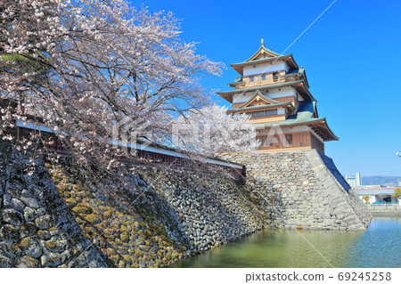[長野縣]高島城和盛開的櫻花在晴朗的天氣下 69245258