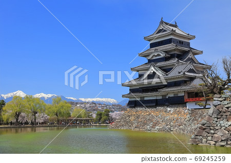 [長野縣]在北阿爾卑斯山脈和盛開的松本城堡 69245259