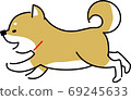 跑Shiba Inu 69245633