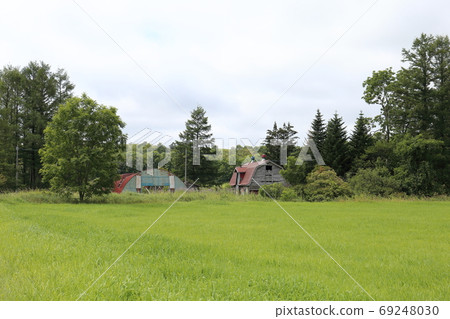 北海道Ku路的老牛棚風景 69248030