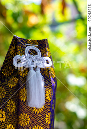 The remains of a dog, a funeral urn, a bone The remains of a dog, a funeral urn, a bone 69248458