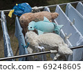 Dolls and baby clothes hang dry the clothes in the backyard. 69248605