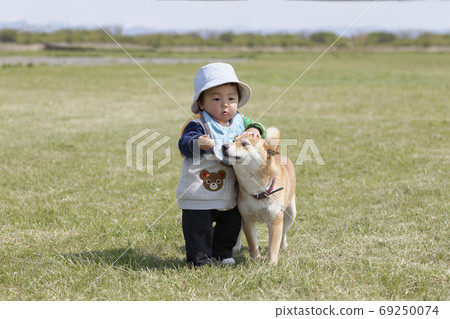 Baby playing with shiba inu 69250074
