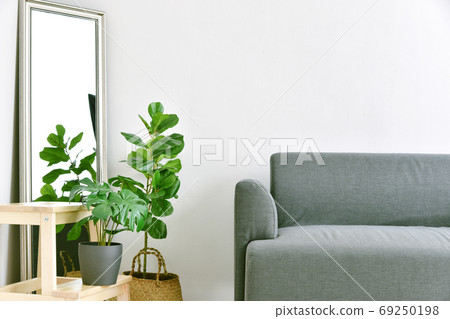 Living room interior design, Home decor with modern fabric sofa and green houseplants 69250198