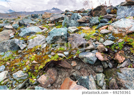 Soil profile of a Leptosol in the High Alps 69250361