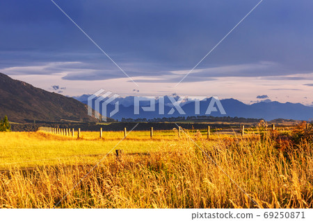 New Zealand hills 69250871