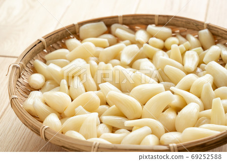 Rakkyo Rakuda (June) Zaru Rakkyo pickles preparation Rakkyo Rakuda (June) Zaru Rakkyo pickles preparation 69252588