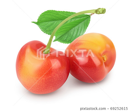 yellow-red sweet cherry isolated on white background with clipping path and full depth of field yellow-red sweet cherry isolated on white background with clipping path and full depth of field 69252615
