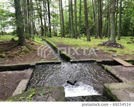一百座最好的日本水域，三分之一的春天 69254514