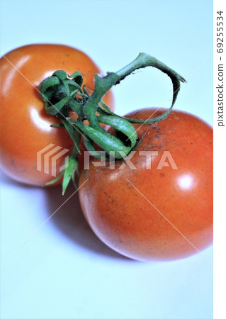 Tomatoes grown in the kitchen garden Tomatoes grown in the kitchen garden 69255534