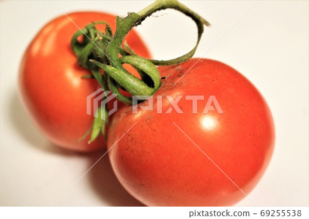 菜園裡種的西紅柿 69255538