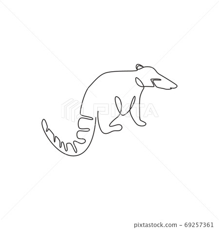 Single one line drawing of beautiful coati for company logo identity Single one line drawing of beautiful coati for company logo identity 69257361