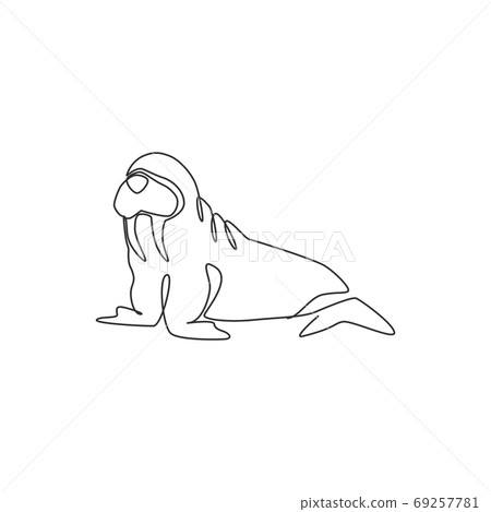 Single continuous line drawing of big cute walrus for logo identity. 69257781