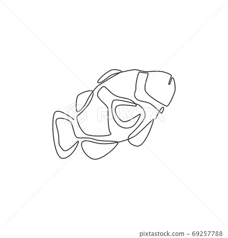 Single continuous line drawing of beauty clownfish for aquatic logo identity Single continuous line drawing of beauty clownfish for aquatic logo identity 69257788
