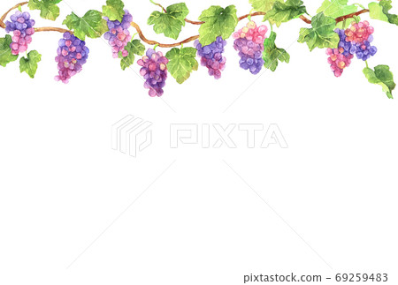 Red grape upper frame_postcard side 69259483