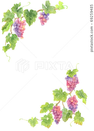 Red grape vertical frame_postcard vertical Red grape vertical frame_postcard vertical 69259485
