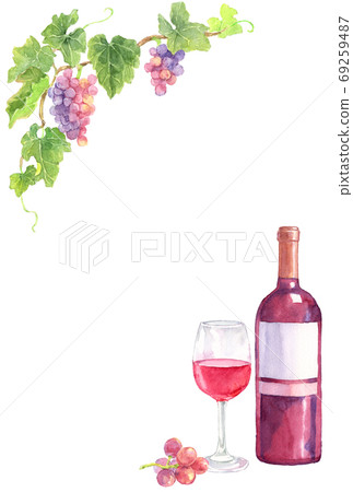 紅葡萄和紅酒的框架 69259487