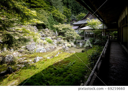 TsuneTerusumeragitera 69259660