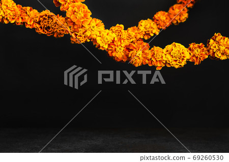Marigold flowers Garlands on black. Dia de los Marigold flowers Garlands on black. Dia de los 69260530