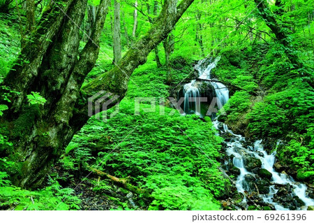 龍津瀑布 龍津瀑布 69261396