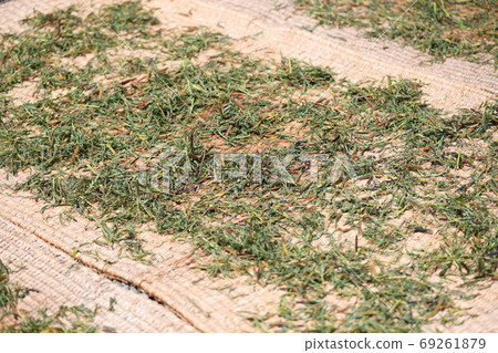 Sunavin's heaven sunrise 69261879