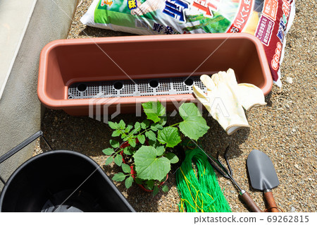 Preparing to grow planter plants on the balcony 69262815