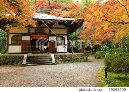 Kyoto Takenoji Jizoin Jizodo and autumn leaves 69263209