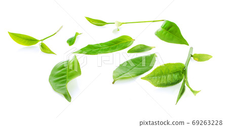 Tea leaves isolated on white background 69263228