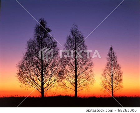 Winter morning (Watarase Reservoir) 69263306