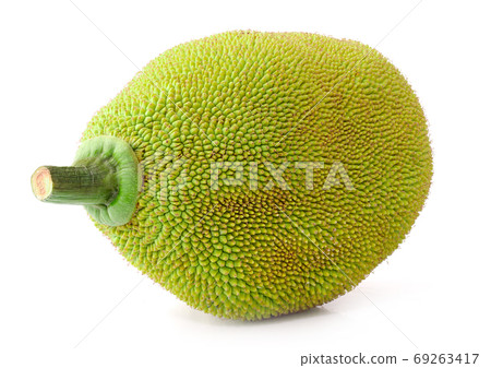 Jackfruit an isolated on white background 69263417