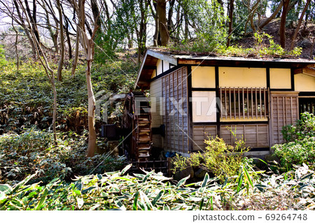 Kumazasa and watermill 69264748