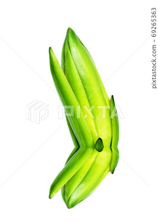 dragon fruit bud 69265363