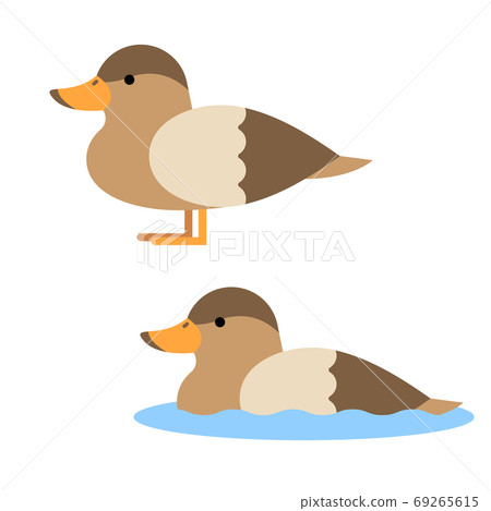 Bird Duck Animal Illustration Flat - Stock Illustration [69265615] - Pixta