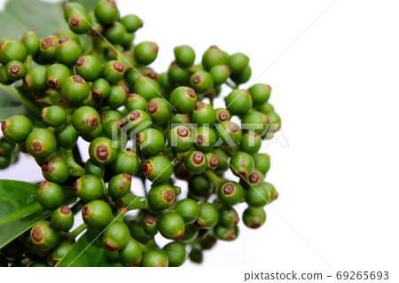 fresh green fruit isolated on a white background 69265693