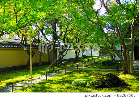 [Kyoto] Daitokuji Koumein at the time of special opening in autumn 69267505