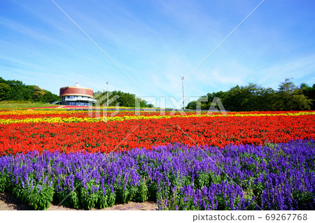 花園“花天花”網走 69267768