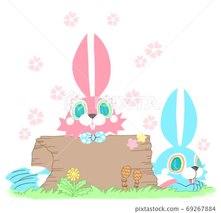 Rabbit playing in the grass Rabbit playing in the grass 69267884