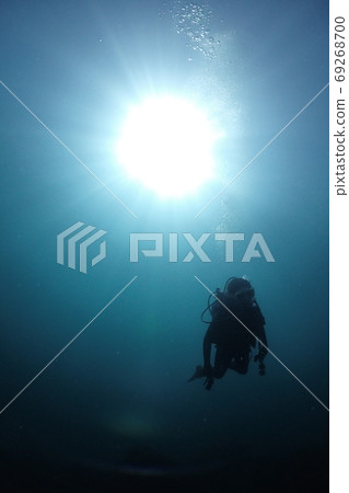 Deep sea diver 69268700