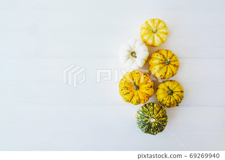 Colorful mini pumpkins of different colors on white background. 69269940
