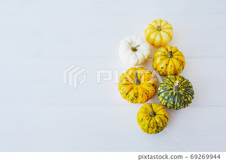 Colorful mini pumpkins of different colors on white background. Colorful mini pumpkins of different colors on white background. 69269944