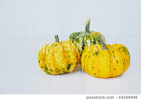 Colorful mini pumpkins of different colors on white background. Colorful mini pumpkins of different colors on white background. 69269946