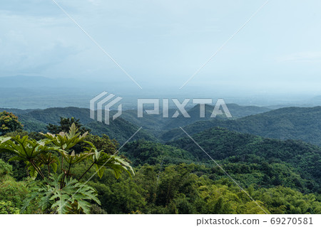 Mountains and green trees during the day 69270581