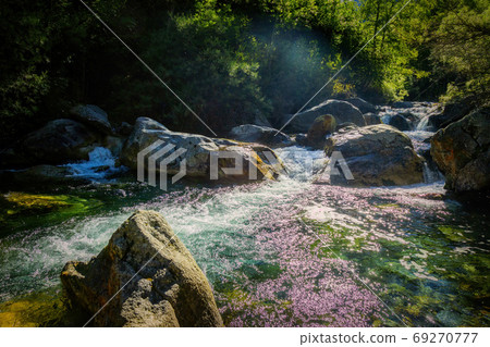 Nice small creek in the forest in park National Sant Maurici in Spain Nice small creek in the forest in park National Sant Maurici in Spain 69270777