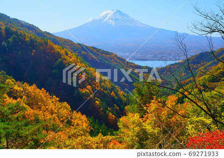 從三坂路的黃色枝繁葉茂的山坡上看到富士山 從三坂路的黃色枝繁葉茂的山坡上看到富士山 69271933